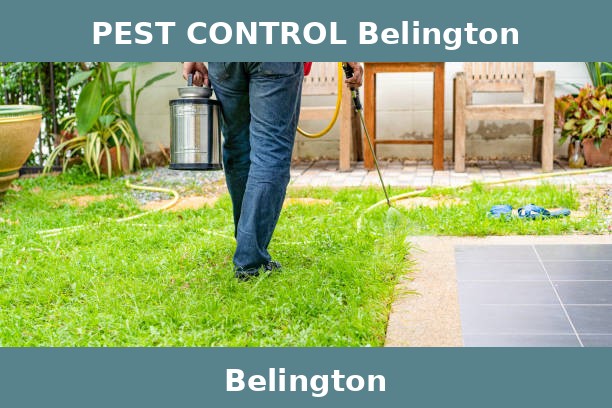 PEST CONTROL Belington
